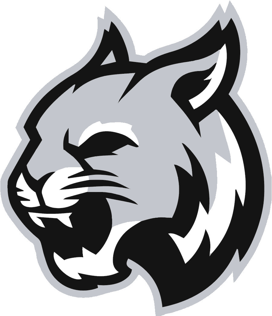 Jasper-Troupsburg logo