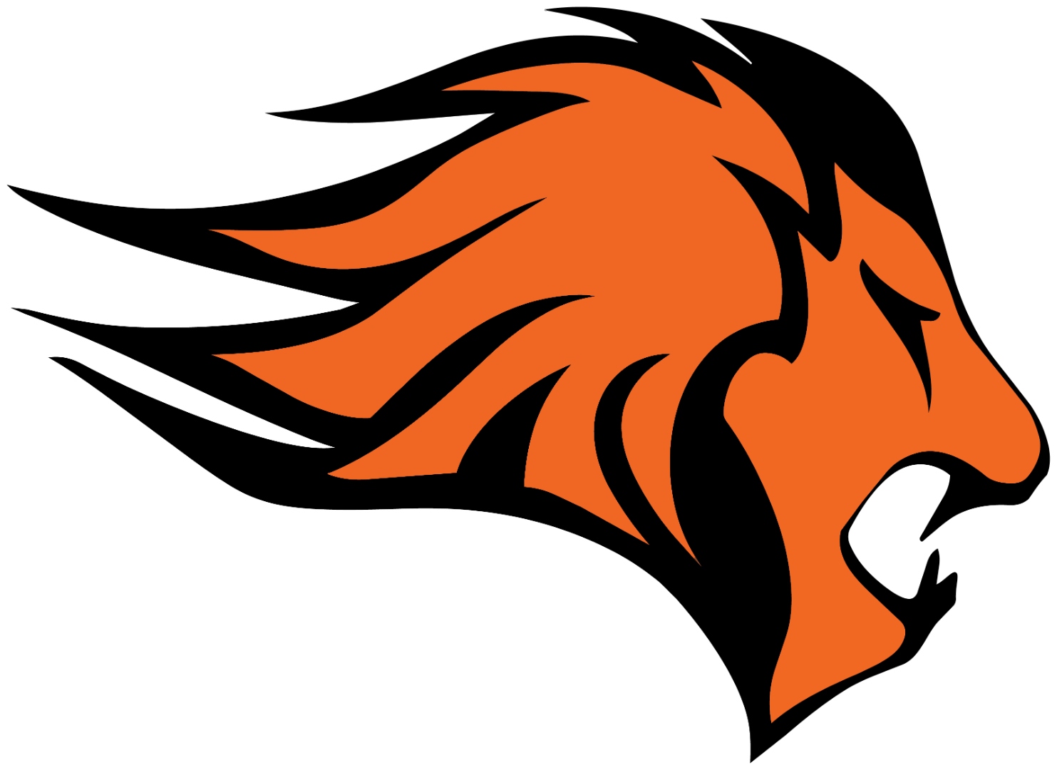 Wellsville logo